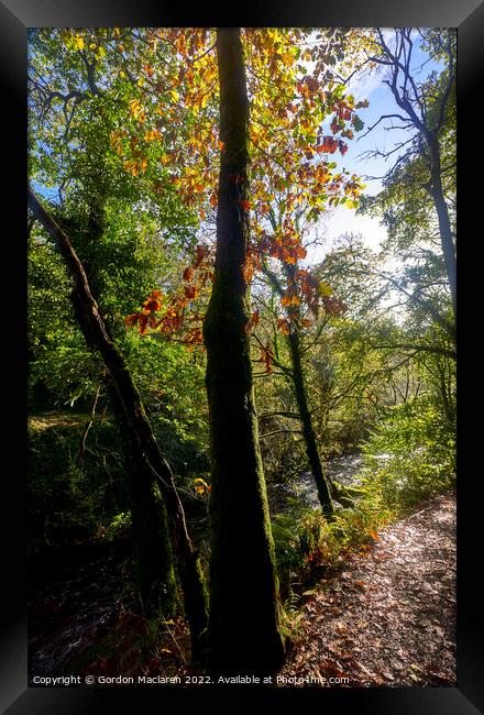 Autumn, Afon Pyrddin, Pontneddfechan, South Wales Framed Print by Gordon Maclaren
