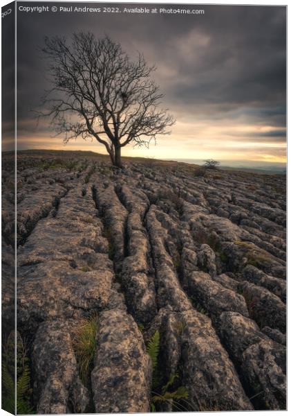 Malham Cove Canvas Print by Paul Andrews