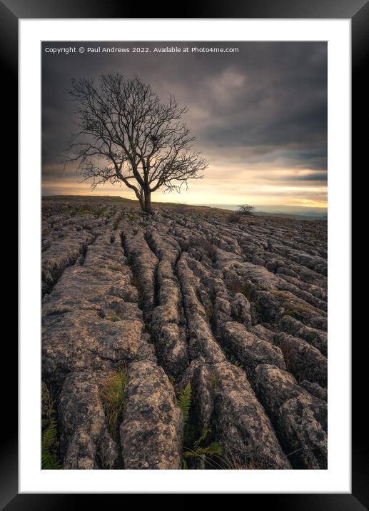 Malham Cove Framed Mounted Print by Paul Andrews