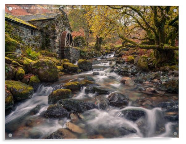 Borrowdale Mill Acrylic by Paul Andrews