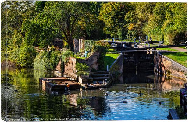 The Town Lock at Newbury Canvas Print by Ian Lewis