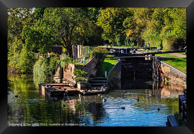 The Town Lock at Newbury Framed Print by Ian Lewis