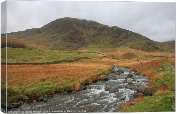 Harter Fell from Haweswater Reservoir Canvas Print by David Morton