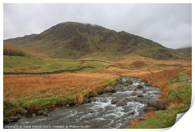 Harter Fell from Haweswater Reservoir Print by David Morton