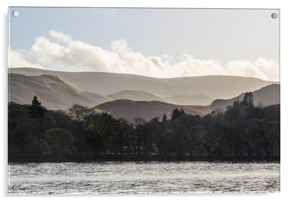 Martindale Common from Ullswater Ferry Acrylic by David Morton