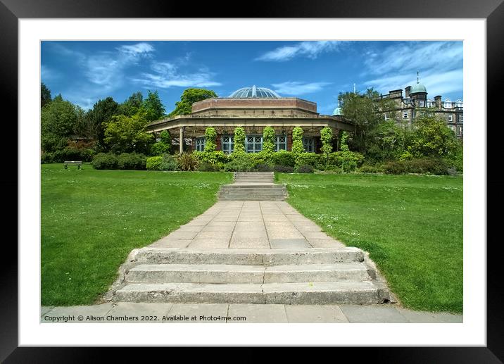 Harrogate Valley Gardens Framed Mounted Print by Alison Chambers