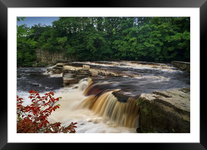 Richmond Falls Framed Mounted Print by Alison Chambers