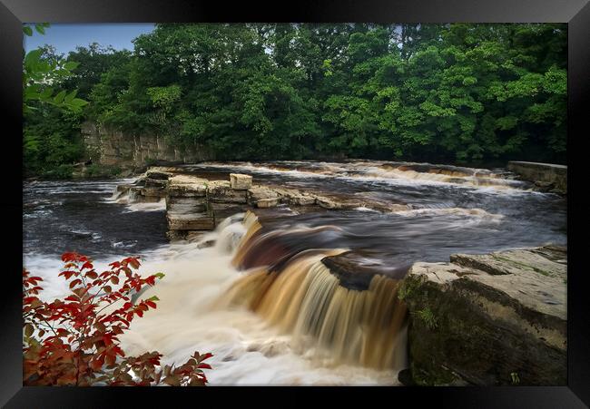 Richmond Falls Framed Print by Alison Chambers