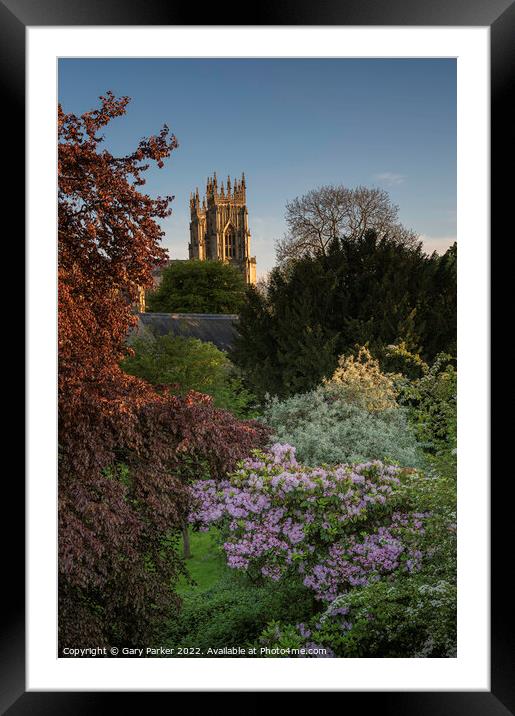 York Minster on a summers day Framed Mounted Print by Gary Parker
