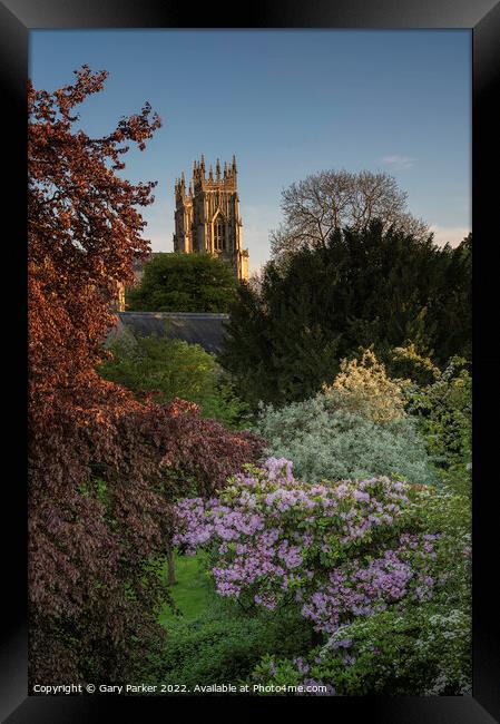 York Minster on a summers day Framed Print by Gary Parker