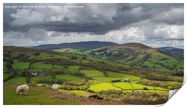 Talybont View  Print by Gary Parker