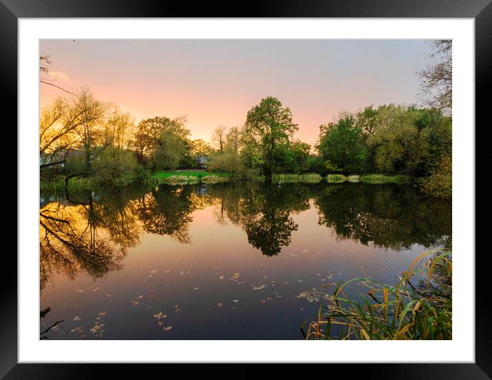 Long Copse Pond Framed Mounted Print by Clive Eariss