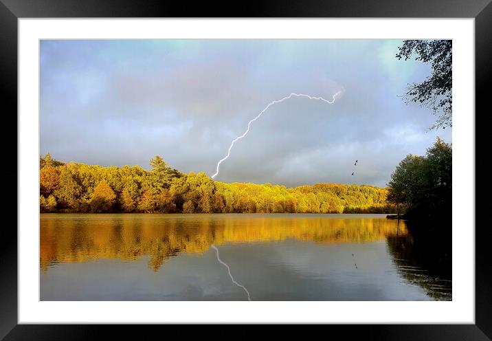 Domaine De La Ribiere Framed Mounted Print by phil pace