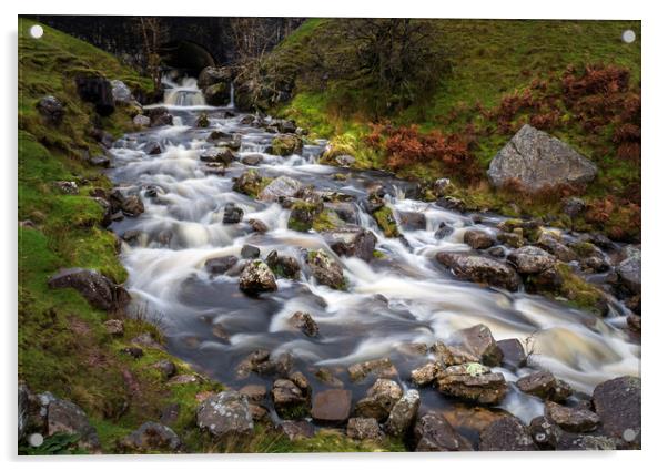 The Afon Clydach after heavy rain Acrylic by Leighton Collins