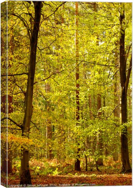 Sunlit woodland Canvas Print by Simon Johnson