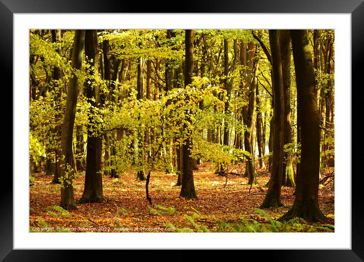 sunlit tree Framed Mounted Print by Simon Johnson