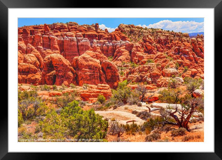 Colorful Fiery Furnace Hoodoos Arches National Park Moab Utah Framed Mounted Print by William Perry