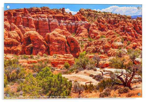 Colorful Fiery Furnace Hoodoos Arches National Park Moab Utah Acrylic by William Perry