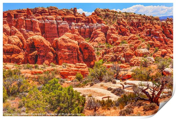 Colorful Fiery Furnace Hoodoos Arches National Park Moab Utah Print by William Perry