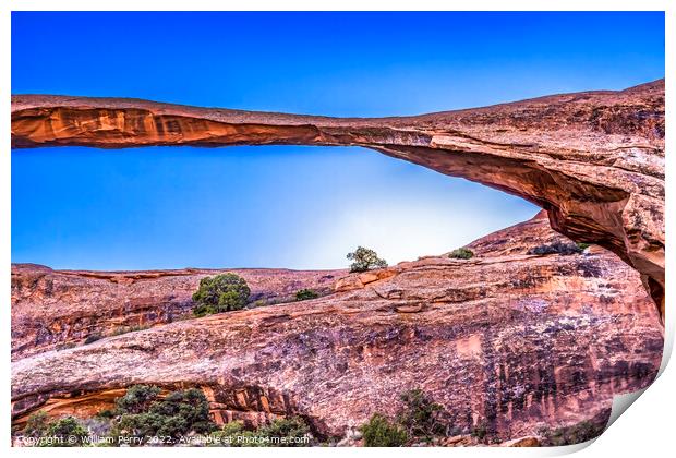 Landscape Arch Sunset Devils Garden Arches National Park Moab Ut Print by William Perry
