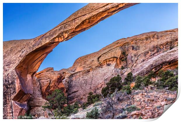 Landscape Arch Evening Devils Garden Arches National Park Moab U Print by William Perry