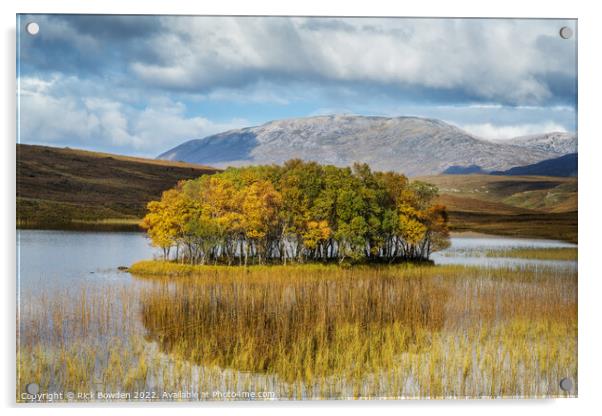 Loch Awe Tree Island Acrylic by Rick Bowden