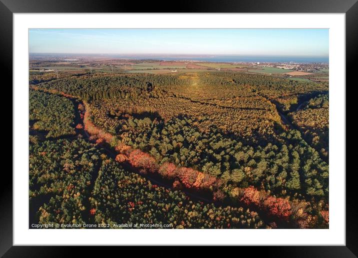 Autumnal Path Framed Mounted Print by Evolution Drone