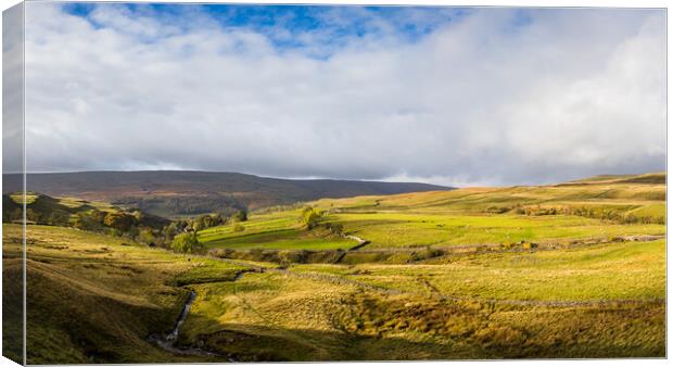 Wharfedale Valley panorama Canvas Print by Jason Wells