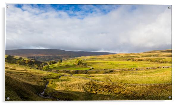 Wharfedale Valley panorama Acrylic by Jason Wells