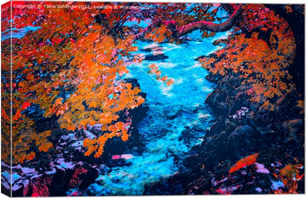 Autumnal Sjundby Streams Digital Art Canvas Print by Taina Sohlman