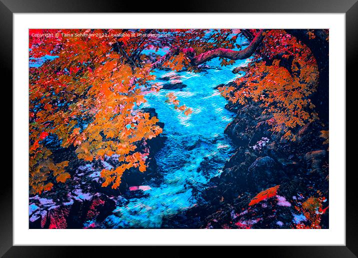 Autumnal Sjundby Streams Digital Art Framed Mounted Print by Taina Sohlman