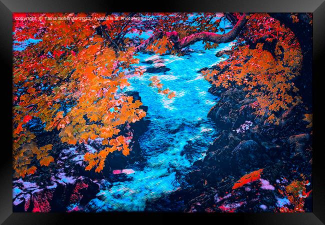 Autumnal Sjundby Streams Digital Art Framed Print by Taina Sohlman