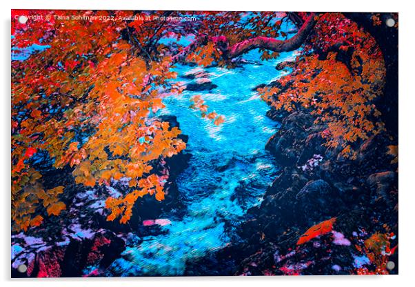 Autumnal Sjundby Streams Digital Art Acrylic by Taina Sohlman