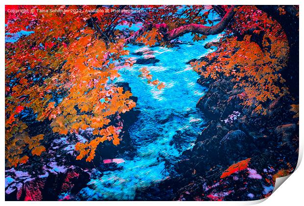 Autumnal Sjundby Streams Digital Art Print by Taina Sohlman