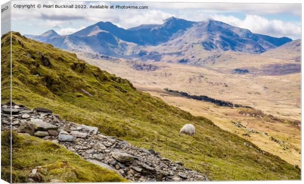 View from Moel Siabod Path to Snowdon Horseshoe in Canvas Print by Pearl Bucknall