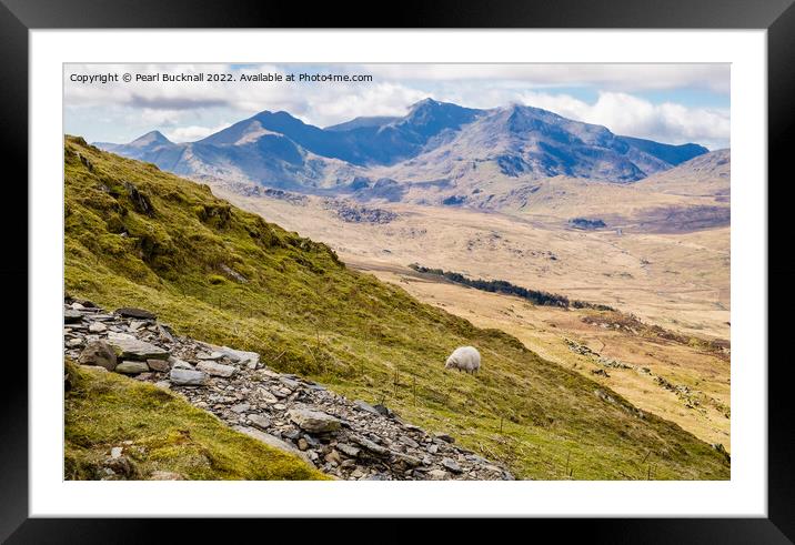 View from Moel Siabod Path to Snowdon Horseshoe in Framed Mounted Print by Pearl Bucknall