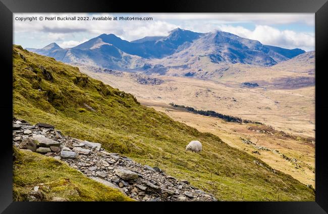 View from Moel Siabod Path to Snowdon Horseshoe in Framed Print by Pearl Bucknall