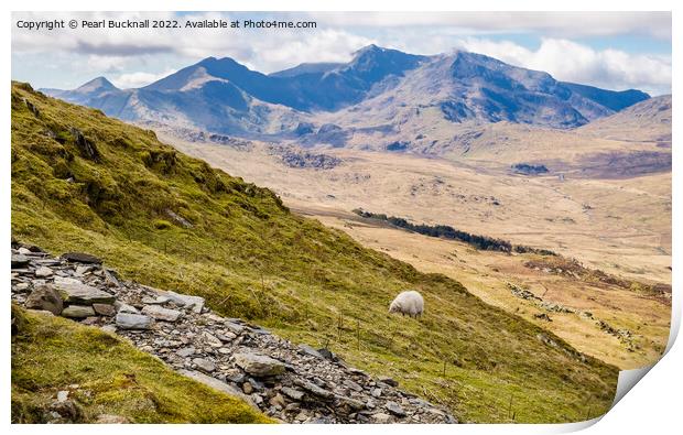 View from Moel Siabod Path to Snowdon Horseshoe in Print by Pearl Bucknall