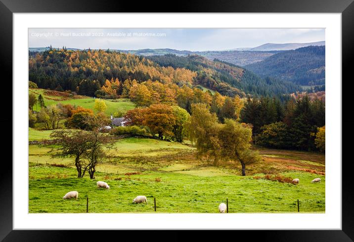 Welsh Countryside in Autumn Snowdonia Framed Mounted Print by Pearl Bucknall