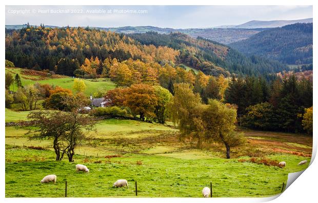 Welsh Countryside in Autumn Snowdonia Print by Pearl Bucknall