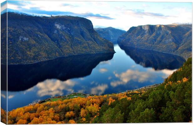 Aurlandsfjord Flam Norwegian Fjord Norway Scandinavia Canvas Print by Andy Evans Photos