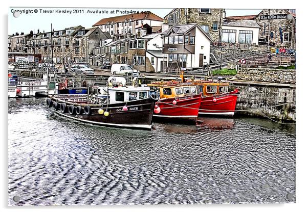 The Harbour at Seahouses Acrylic by Trevor Kersley RIP