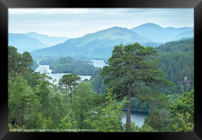 Glen Affric view point panorama on the Highlands Framed Print by Delphimages Art