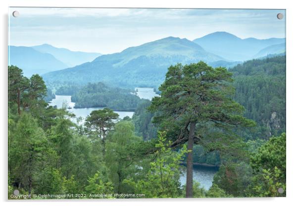 Glen Affric view point panorama on the Highlands Acrylic by Delphimages Art