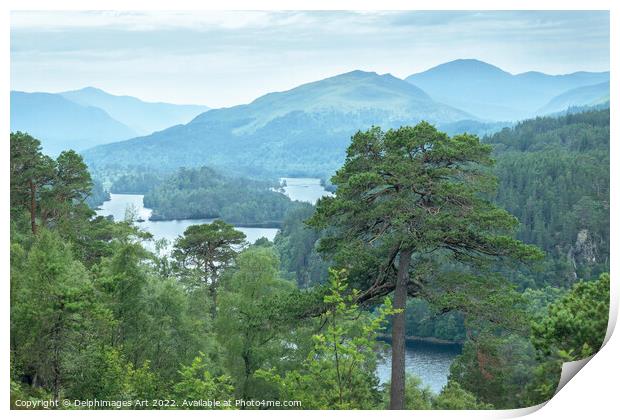 Glen Affric view point panorama on the Highlands Print by Delphimages Art