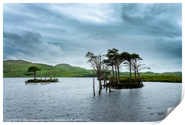 Loch Assynt in Scottish Highlands, Scotland Print by Delphimages Art