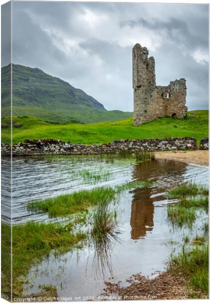 Ardvreck castle at Loch Assynt, Scottish Highlands Canvas Print by Delphimages Art