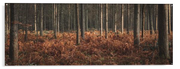 Woods in Autumn Acrylic by Mark Jones