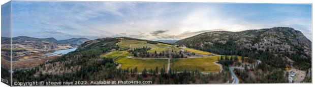 panorama of a vineyard on top of a mountain Canvas Print by steeve raye