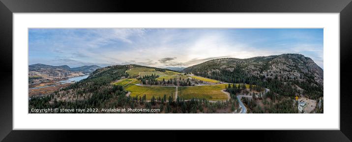 panorama of a vineyard on top of a mountain Framed Mounted Print by steeve raye